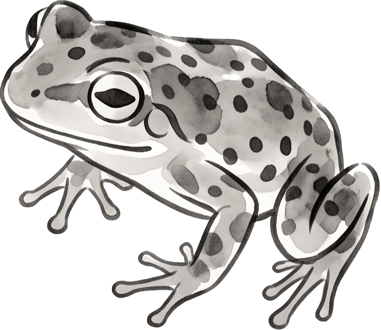 Toadstamp logo